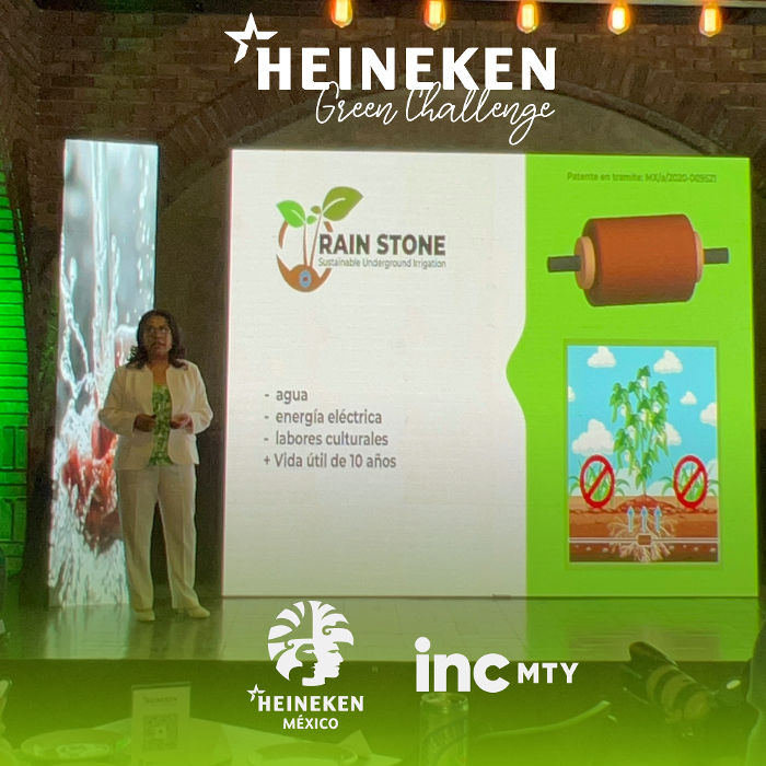 Demo Day HGC- Rain stone