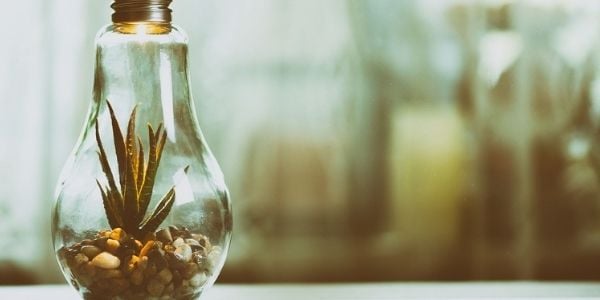 capitalismo consciente