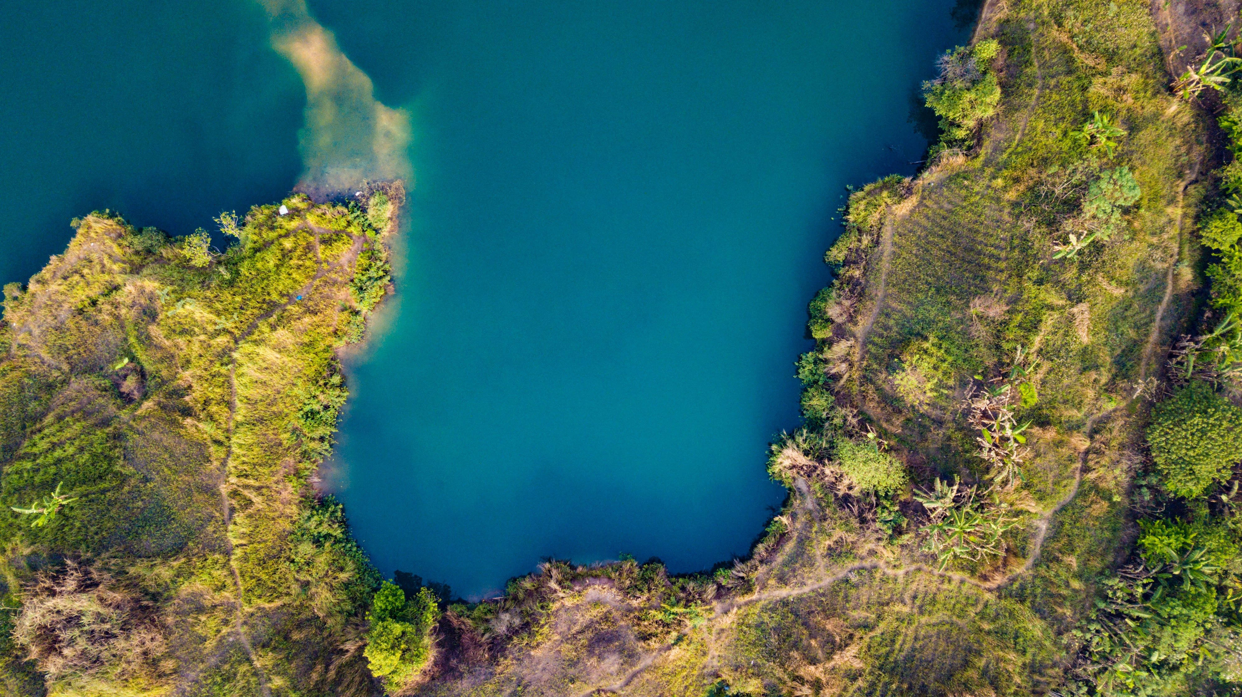 pexels-tom-fisk-1492184