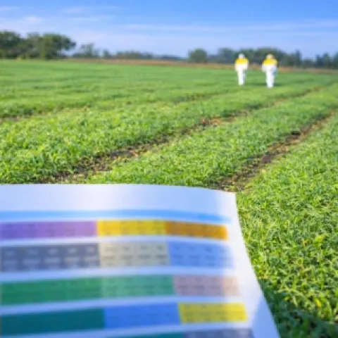 Arranca el piloto del HEINEKEN Green Challenge: innovación abierta que impulsa al talento emprendedor mexicano