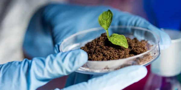 Biotecnología 600x300